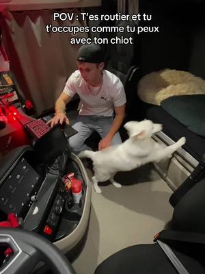 A post by @fsk_off on TikTok caption: 4 mois et sage comme une image 😁