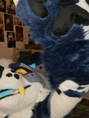 A post by @strayfurstudios on TikTok caption: Queen never cry - - - #furrytiktok #furryart #blue #bluedog #fursuitmaking #fursuitmaker #fursuits #furry #furrycommunity #furryfandom #fursuit #fursuiting #fursuiter #caninefursuit #furrycommission #convention #furryconvention 