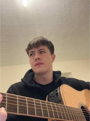 A post by @odhrandiamondmusic on TikTok caption: Blackbird @The Beatles #fyp #irish 