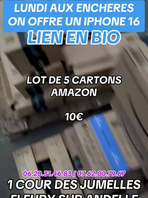 A post by @richeinconnu on TikTok caption: #grossisteamazon #grossisteenligne #grossisteetdestockage #destockage #venteenligne #ecommerce #smallbusinessfrance 