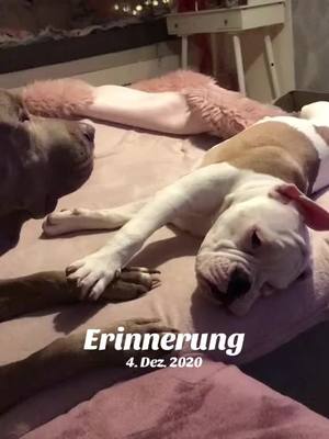 A post by @baby_elchapo on TikTok caption: #erinnerung