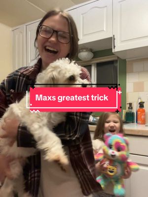 A post by @charityandfam on TikTok caption: Max has hops!!!! #fosterfail #max #doggies #goodboy #sahm #homsteadingtiktok #chickentok #everythingiscontent #dog #fosterfailuresarethebest 