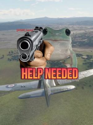 A post by @justintimefrog on TikTok caption: @saucytux Please go support in any way you can! #warthunder #fighterpilots #aviation #gaming #videogame #fakeguns⚠️