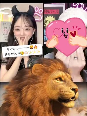 A post by @maru9130 on TikTok caption: かずたかくんから初めてのライオン🦁 とっても嬉しいありがとう(⸝⸝o̴̶̷᷄ ·̭ o̴̶̷̥᷅⸝⸝)♡ #おすすめ #いいね #fyp #配信者 