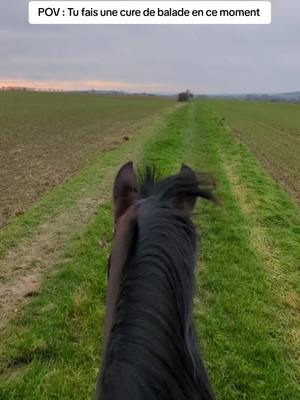 A post by @team.ginette on TikTok caption: C'est la dure de balade en ce moment 🫂 Ça met de bonne humeur autant la jument que moi ! on profite vraiment du beau temps 🥹 #horseofinstagram #horseofinsta #pureraceespagnol #horses #cheval #chevaltiktok #chevaliberique  #horseriding #instapony 