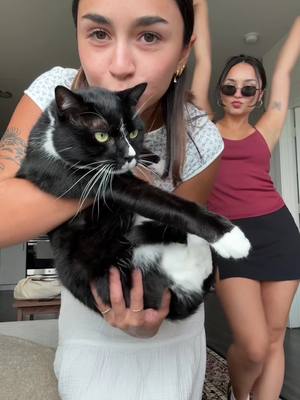 A post by @devynonearth on TikTok caption: drafts with sissy @camryn #fitcheck #fit #OOTD #cat #cats #catsoftiktok #xyzcba #foryou #fypシ #foryoupage 