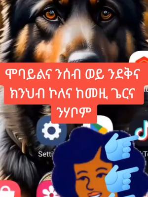 A post by @kbmkebari on TikTok caption: #onthisday #forpage #for #habshatiktok #ethiopian_tik_tok #tigraytiktok #onthisday #ቤርጌድንሓመዱ💙 #tik_tok 