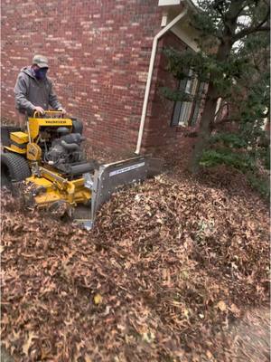 A post by @thatlawndude on TikTok caption: Leaf delete kit in action 🪄 #thatlawndude #leafremoval #lawncare