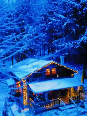 A post by @kjp on TikTok caption: Christmas magic is alive and well at our cozy cabin, even after a few holiday hiccups (looking at you, raccoons 🦝). When our decorations met their untimely end, @The Home Depot brought the sparkle back to the season! 🎄 With every light strung and every decoration placed, it’s not just our cabin that’s glowing—it’s the warmth of family, tradition, and the joy of making memories together. #HolidayYourWay, #HomeDepot, #homedepotpartner 