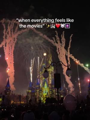 A post by @alexusexum01 on TikTok caption: my happy place. 🏰❤️✨🥰 #disney #disneyworld #orlando #fl #waltdisney #wdw #castle #Home 