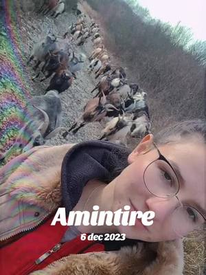 A post by @chetamare on TikTok caption: #amintire