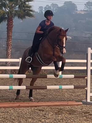 A post by @cant.see.distances on TikTok caption: Petite jumps for the off season! So sad its my last yr as a jr 😭 #horse #equestrain #showjumper #california #edit #cantseedistances 