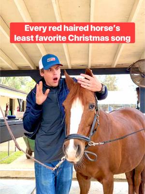 A post by @evans_world on TikTok caption: This Christmas song is banned at the barn! #Horsesandhumor #horse #equestrian 