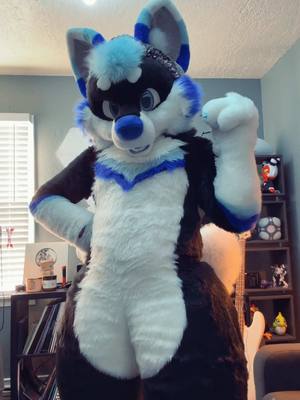 A post by @reverbthehusky on TikTok caption: This was specifically made for my bestie @Miles🍉  #furrytiktok #furry #fursuit #furryfandom 