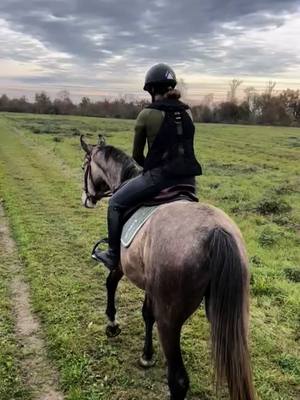 A post by @manon_estivals on TikTok caption: Première balade pour Kannan et seance de contre galop et changement de pieds pour Bad girl 😍 super journée #cavaliere #pourtoi #debourrage #dressage 