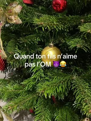 A post by @lafoliedesgemeaux on TikTok caption: #lutinsfarceurs #blague 