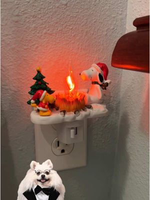 A post by @nicospicks6 on TikTok caption: To be honest,i really like this 🤩#dogsoftiktok #fyp #NicoCoco #merrychristmas #christmas #🎄❄️🎁🎅 #snoopdogg #snoopdog #beautiful #lamps 