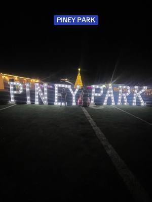 A post by @mama_bear3136 on TikTok caption: Piney park with the family! 