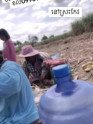 A post by @phenphen967 on TikTok caption: ត្រូវកាជាច្រើននាក់ ខល0990980128