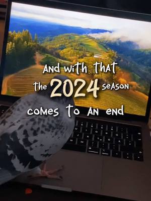 A post by @carvelcake on TikTok caption: schön #CapCut  #2024season 