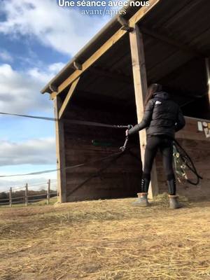 A post by @the_life_of_my_horses on TikTok caption: ASMR version poney 😝 #routine #horse #rider #Vlog 