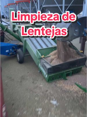 A post by @freddy_wiebe on TikTok caption: Limpiando mis lentejas 2024 #freddywiebe#bolivianoencanada#agriculturaencanada#lentejas#limpieza#lenteja 