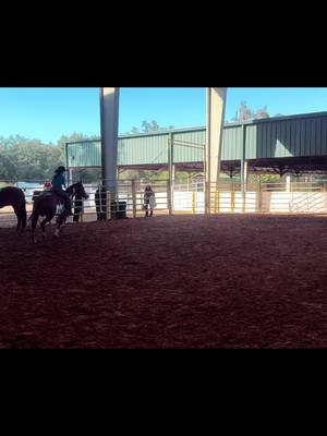 A post by @merrillhodges on TikTok caption: 3yo “Holy Smokes” made her deput run today to drag a barrel to be in the open 1D conversation!! #3Yo bred raised and trained by myself. Her momma is the gift that keeps on giving and I am overwhelmed with love for that mare and her babies!🥰 #fyp #barrelhorsetrainer #futuritycolts #firstrunever #JLDashTaHeaven #heylookSillyshemadeit 