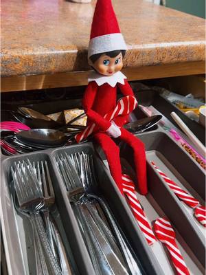 A post by @edietokalot on TikTok caption: #elf #elfonashelf #elfontheshelfideas 