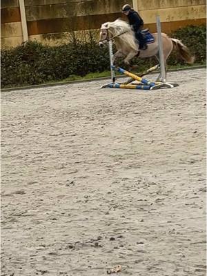 A post by @ikbeninneaangenaam on TikTok caption: Flinkee beauty met annette eerste keer gesprongen 😃#haflinger #jumping #young #youngrider 