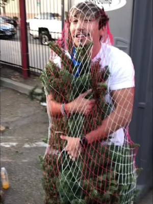 A post by @brennentaylor on TikTok caption: Have you ever wondered? #christmas 