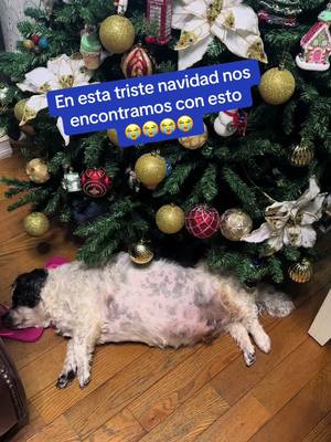 A post by @martiresconde on TikTok caption: Muy triste caso.