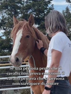 A post by @equestredentro on TikTok caption: Se una persona pensa che il cavallo non prova emozioni, il cavallo penserà che la persona non sia capace di sentire . . . . . #equestri #equestredentro #horse #horses #horsesofinstagram #horsesofweek #horsemanship #equestrian #equestrianlove #equinelife #equitation #equus #cheval #caballos #cavallo #cavalli #acavallo #cavalcare #equestre #equitazione #addestramentocavalli #cavaliere  #cavallospaventato #maneggio #academy #paura #connessione  #connessioneinteriore #cit #citazione 