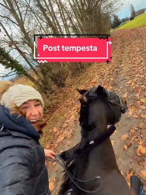 A post by @annaniero on TikTok caption: Voglio vivere così tutti i giorni della mia vita ❤️🥹🐎 #horse #horselove #horsefun #equestrianlifesyle  