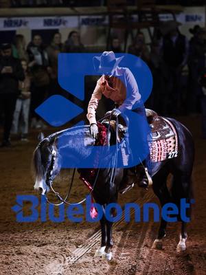 A post by @bluebonnet.feeds on TikTok caption: we're still standing 🙌 . . . 🏆 2024 NRHA Futurity Open Level 4 & Level 3 Champions 🏆 ☝ First Woman to Win the NRHA Open Level 4 Futurity 💙 Congratulations Kaci O'Rourke, "Thiago", Jack, owners Peter and Courtney Morgan, and the entire @PHPerformanceHorses  family. #TeamBluebonnet has never been stronger!  #FeedLikeKaci #bluebonnetfeeds #nrhafuturity #reining #reininghorses #horsefeed @Lauren Beechler 