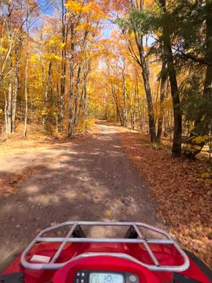 A post by @officialsledgoon on TikTok caption: Beautiful trail through the fall foilage!  #honda #fourwheeler #fourwheelers #fall #foilage #nature #woods #forest #northwoods #trail #sledgoon 