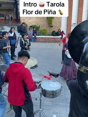 A post by @tlahui_br_mixes on TikTok caption: Que bien suena la Tarola de la banda RM con la pieza de flor de piña en #tlahuitoltepec  #musica 