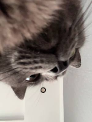 A post by @.nasstaanas on TikTok caption: #дерганная #влог 