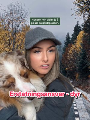 A post by @jussnakk on TikTok caption: Skadeserstatningsloven § 1-5 handler om ansvar for dyr. Det er ulike regler ut fra hvilke dyr som gjør skade og hva dyret gjør skade på. I denne videoen er eksempelet at en hund gjør skade på en motorsykkel (samme regel gjelder også for bil og andre motorvogner).  I § 1-5 fjerde ledd heter det at dersom eier eller innehaver har latt det mangle på tilbørlig tilsyn eller på annen måte ikke har gjort det som er rimelig å kreve for å hindre skade, plikter han å erstatte skaden som voldes av dyret. Med andre ord må eieren ha god nok oppfølging og kontroll på dyret, i tillegg til å ta aktive grep for å hindre skade - for eksempel å sikre dyret tilstrekkelig med bånd eller inngjerding.  Et annet eksempel kan være hvis en hest skader en annen hest når eier burde passet bedre på eller gjort mer for å hindre det, eller gjerdet til hesten er så dårlig vedlikeholdt at den lett bryter seg ut og ødelegger avlingene til naboen.  #jussnakk #juss #jusstudent #paragraf #lover #advokat #fyp #foryou #foryoupage #regler #kontrakt #skade #erstatning #dyr #erstatningskrav #krav #rett #loverogregler #student 