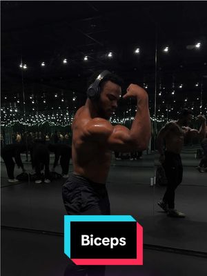 A post by @zoomvzn on TikTok caption: All you need to build your biceps are preacher curls and hammer curls #fyp #biceps #zoomvzn 