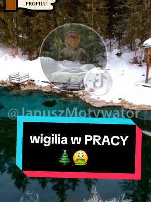 A post by @januszmotywator on TikTok caption: #wiral #dlaciebie #polacy #fyp #polacyzagranica #polacywuk #praca #pracazagranicą #szef #polska #wigilia #święta #przekazdlaciebie #motywacja #januszmotywator #wtorek #dobranoc #dzieńdobry #podajdalej 