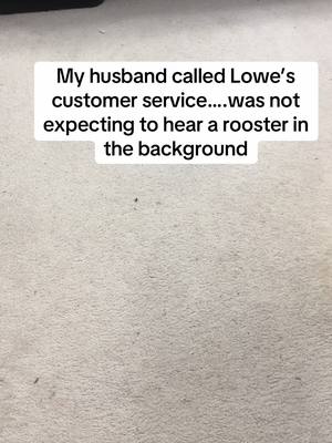 A post by @armymom28 on TikTok caption: @Lowe’s customer service is wild!  