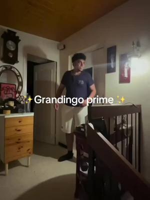 A post by @grandingo89 on TikTok caption: #grandingo #viral #fyp #foryou #humour #fr #tiktok #tiktokfr 