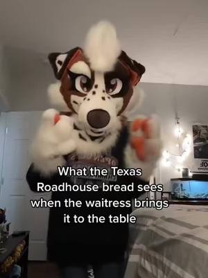 A post by @reddpawz on TikTok caption: We do be eating all the rolls #furry #fursona #fursuit #fursuiter #furryfandom #furrytiktok #fyp #fypシ #trending #onthisday 