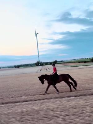 A post by @mundmsrss on TikTok caption: TB to the first summer with my Ricky 🥹♥️ Team since 2024 🥹  #foryou#fürdich#follow#like#horse#ride 