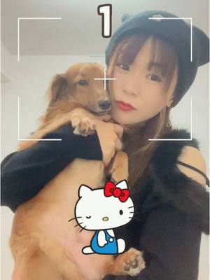 A post by @mikakoponn on TikTok caption: #ハローキティ50周年 #hellokitty  マハロとキティちゃんのプリクラ撮れた気持ち💓