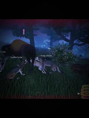 A post by @madam_mortem on TikTok caption: Replying to @itznevvvv on the flip side ive hunted a male bison as a lone saber and ive also fought off 6 of them as a bison. bison are unpredicable, for anything because of how much they tank. but a pack of wolves are definitely able to take down anything currently in the game. 