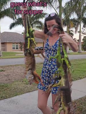 A post by @maryyycarol on TikTok caption: no iguanas were harmed in the making of this video. this is for educational purposes #howto #dinnerideas #iguana #iguanahunter #canal #southwestflorida 