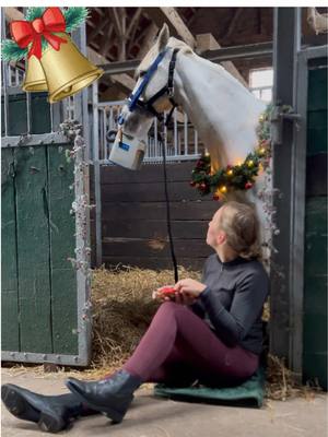 A post by @ridersdeal on TikTok caption: 🎄𝗧𝘂̈𝗿𝗰𝗵𝗲𝗻 𝟭𝟭🎄 Tief durchatmen, denn heute kommt mal wieder ein Hammer-Türchen! 🤯 Ihr bekommt heute - wirklich nur heute - den Akku-Ultraschall-Inhalator AirOne Flex inkl. Warmblutmaske für nur noch 699,99€* statt 899€**!  Das sind -22%*, also rund 200€ gespart! 🎁🤯  #adventskalender #adventskalendertürchen #ridersdealadventskalender #inhalator #hippomed #aironeflex #pferdemädchen #equestrian #pferdeliebe #pferdeasthma