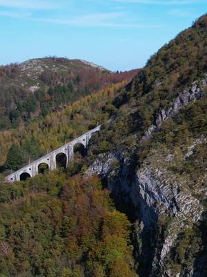 A post by @chassetricolore on TikTok caption: Notre France est belle 🇫🇷 #france #terroir #nature 