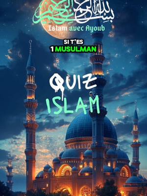 A post by @ilslamavecsarioun on TikTok caption: Lien de en bio pour faire de l’argent Halal et gratuitement ! #ilslamavecayoub #islamic_video #quizislam #quiz #musulman #musulman_du_monde 